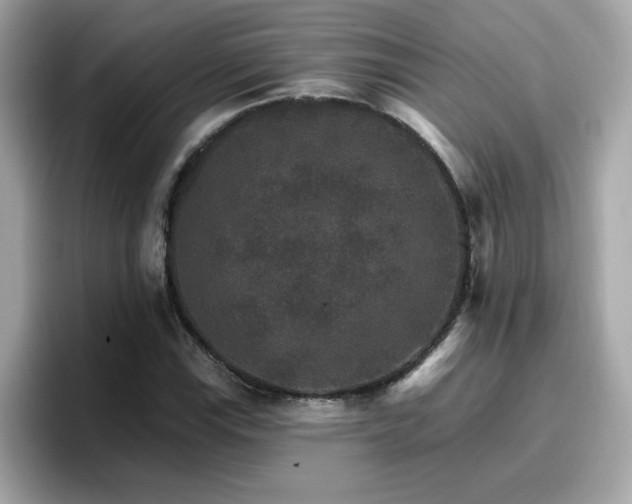 X0000096661115200802121125