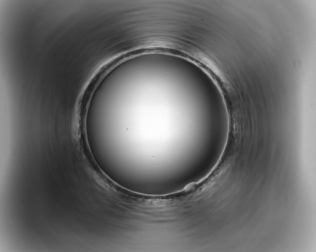 X0000096661116200802121125