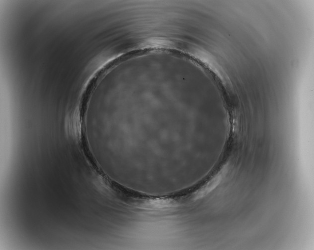 X0000096661117200802121125