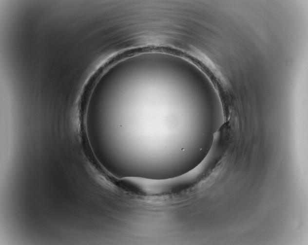 X0000096661118200802121125