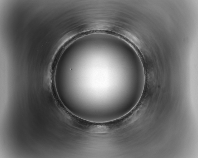 X0000096661119200802121125