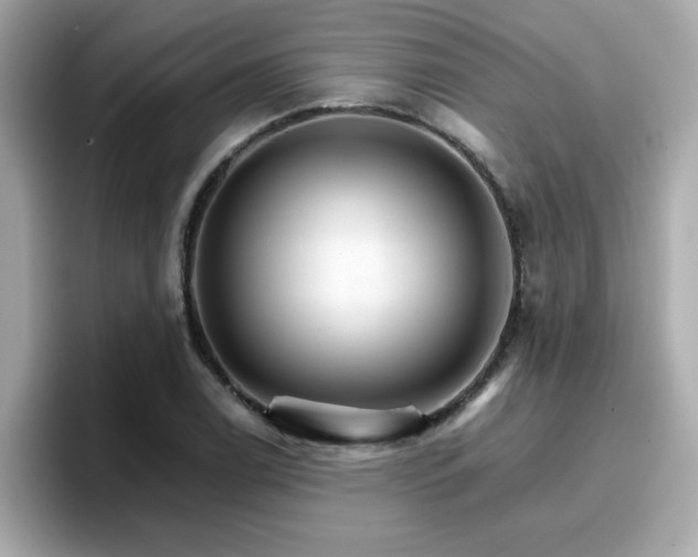 X0000096661122200802121125