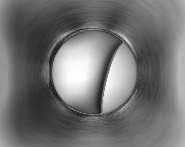 X0000096661123200802121125