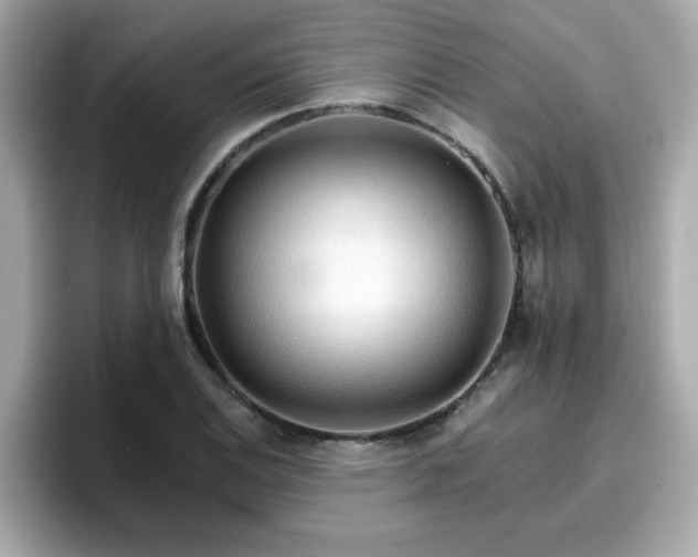 X0000096661124200802121125