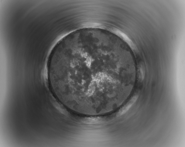 X0000096661125200802121125