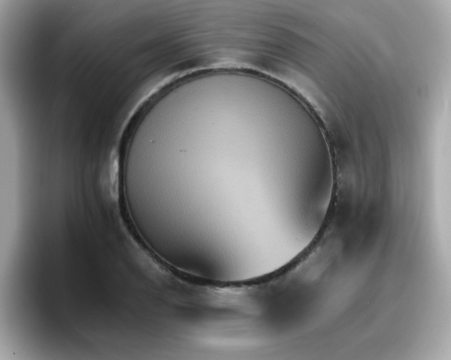 X0000096661126200802121125