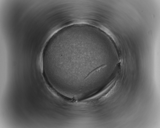 X0000096661127200802121125