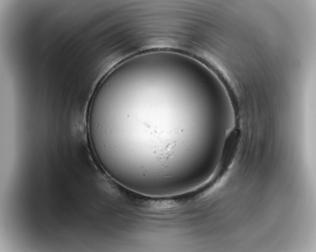 X0000096661129200802121125