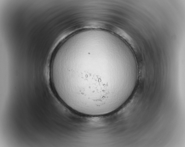 X0000096661130200802121125