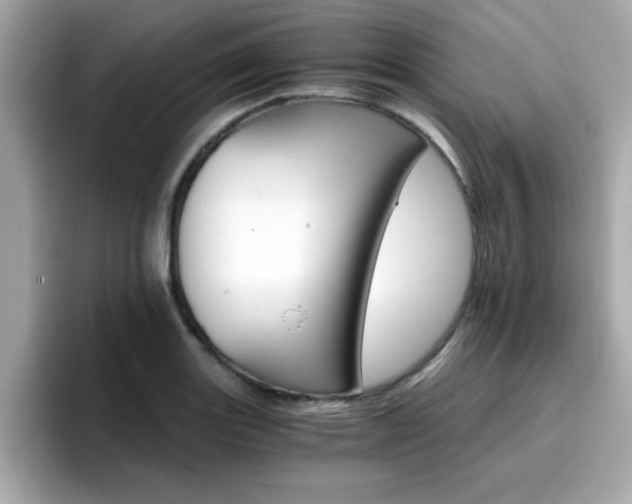 X0000096661131200802121125