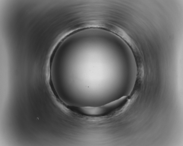 X0000096661132200802121125