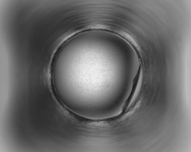 X0000096661133200802121125