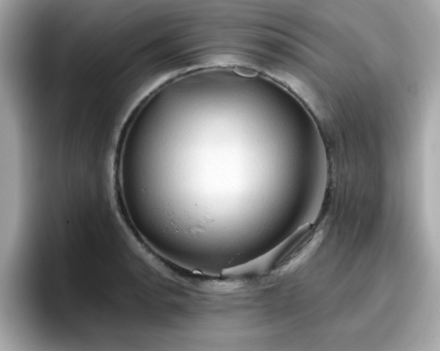 X0000096661134200802121125