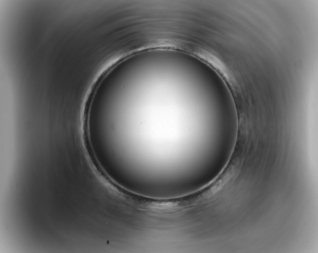 X0000096661135200802121125