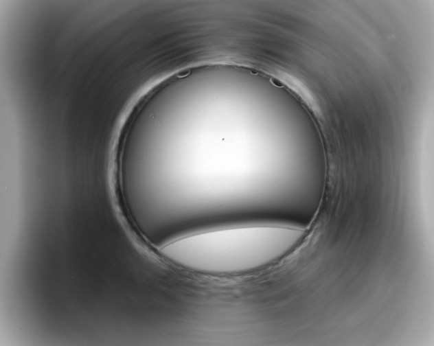 X0000096661136200802121125