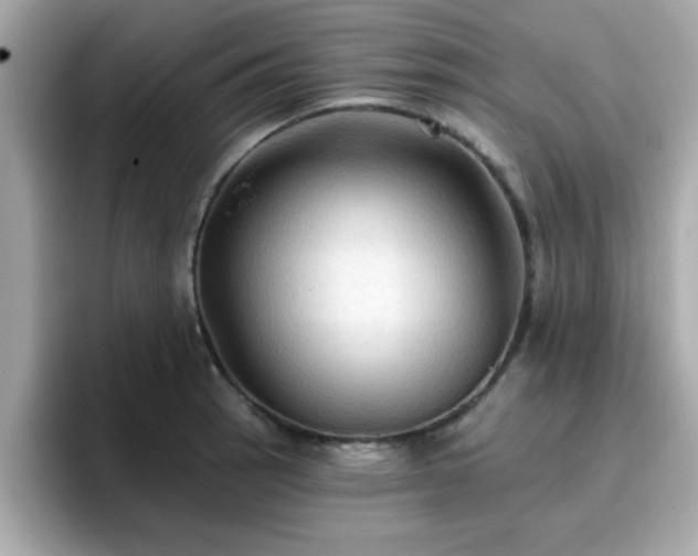 X0000096661137200802121125