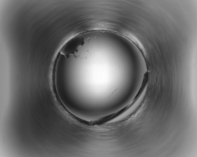 X0000096661138200802121125