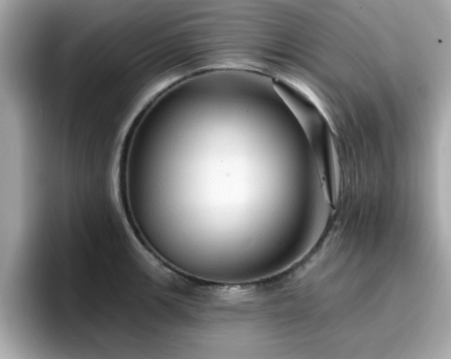 X0000096661139200802121125