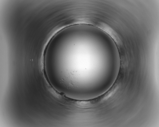 X0000096661140200802121125