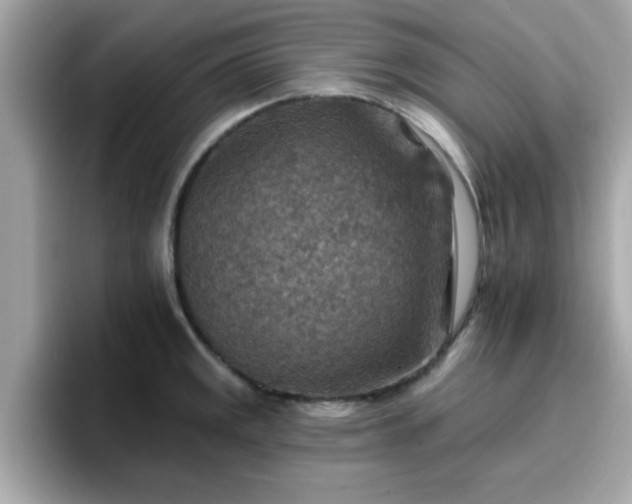 X0000096661141200802121125