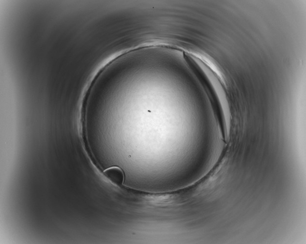 X0000096661143200802121125