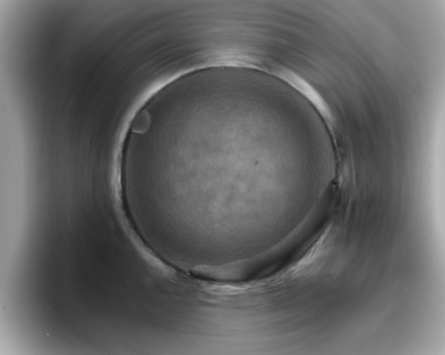 X0000096661144200802121125