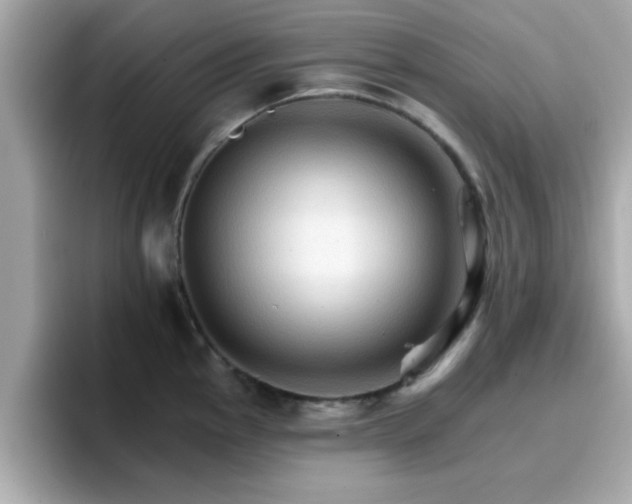 X0000096661145200802121125