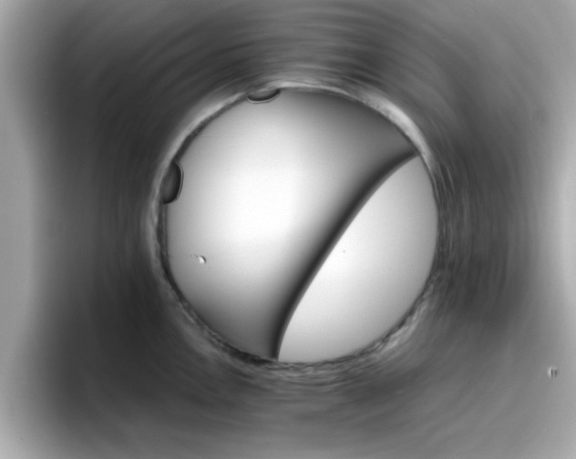 X0000096661146200802121125