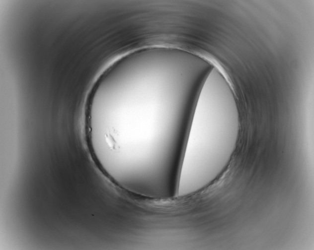 X0000096661147200802121125