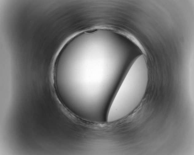 X0000096661148200802121125