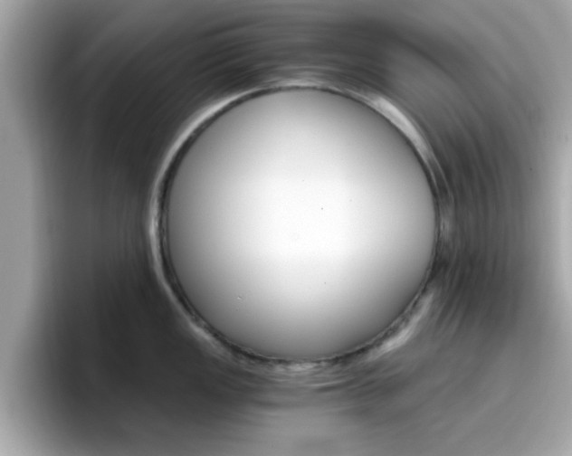 X0000096661149200802121125