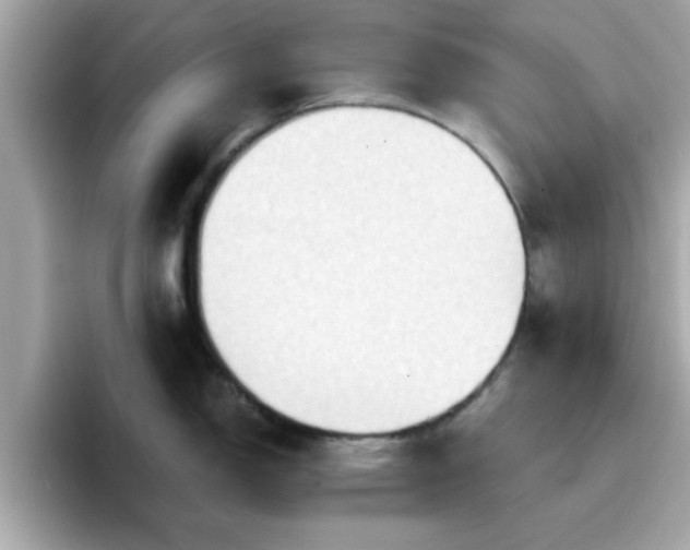 X0000096661150200802121125