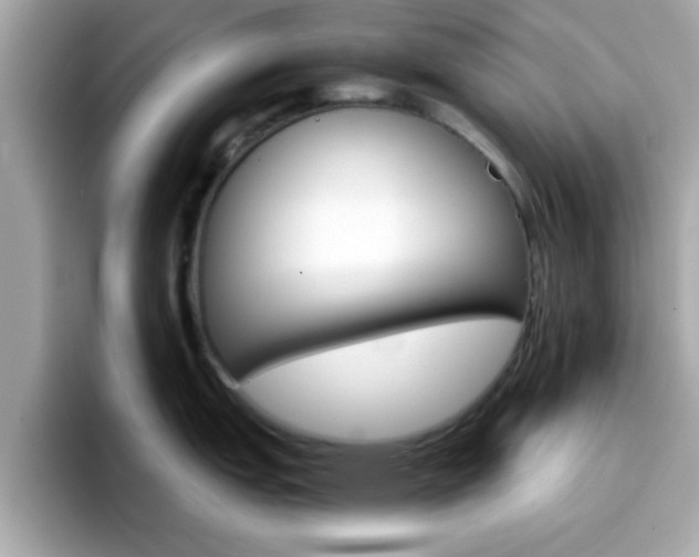 X0000096661151200802121125