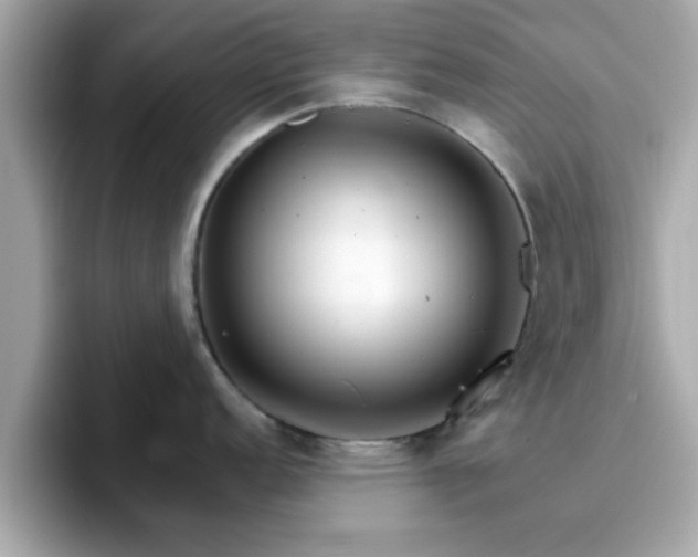 X0000096661152200802121125