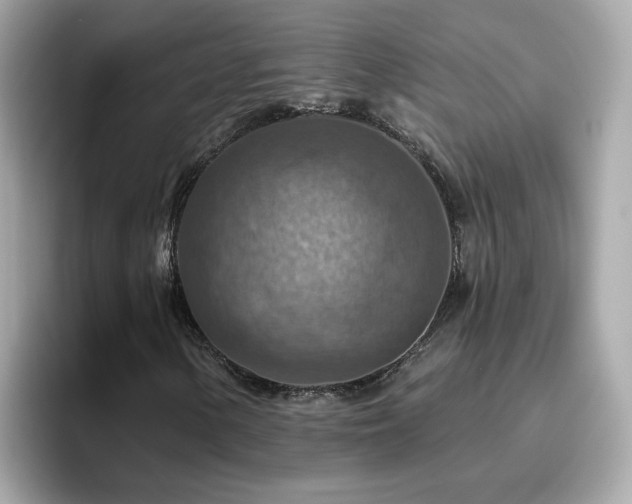 X0000096661154200802121125