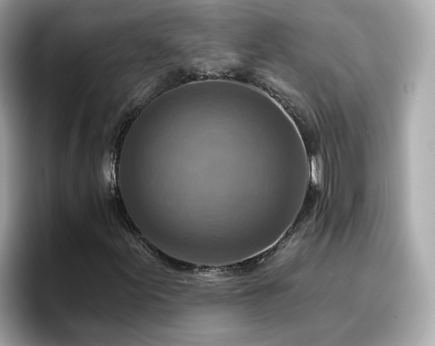 X0000096661155200802121125