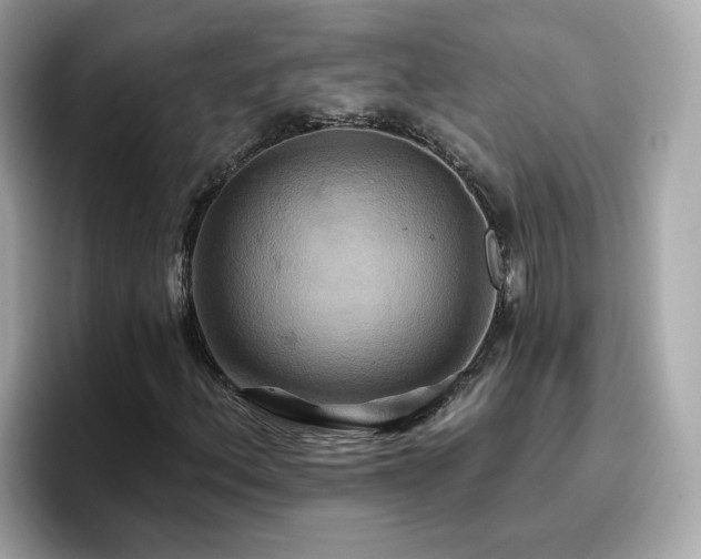 X0000096661156200802121125