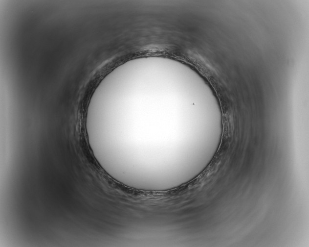 X0000096661158200802121125