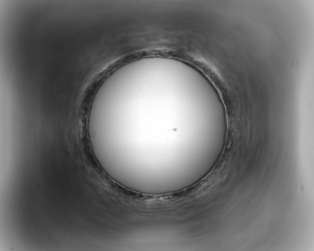 X0000096661159200802121125