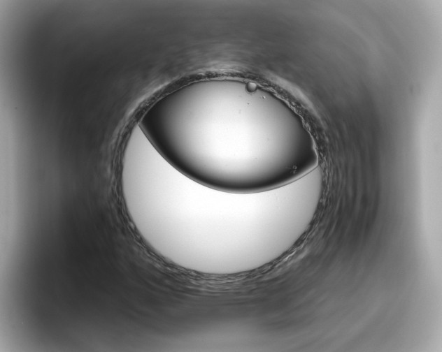 X0000096661160200802121125