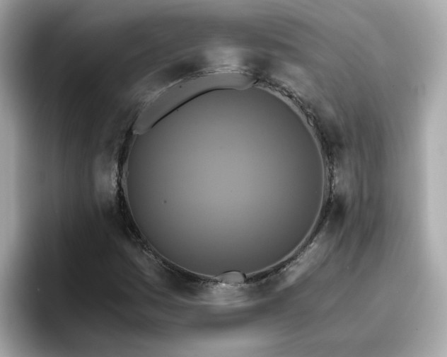 X0000096661161200802121125