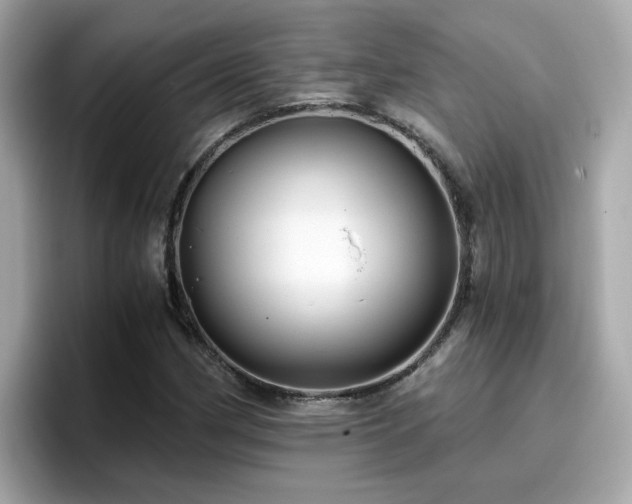 X0000096661162200802121125