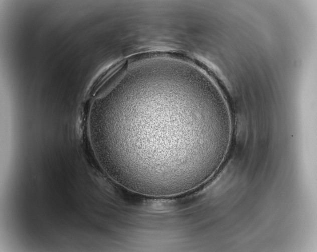 X0000096661163200802121124