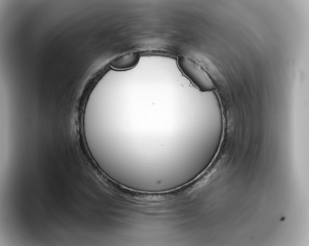 X0000096661164200802121124