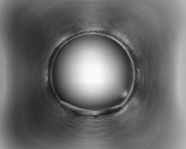 X0000096661165200802121124