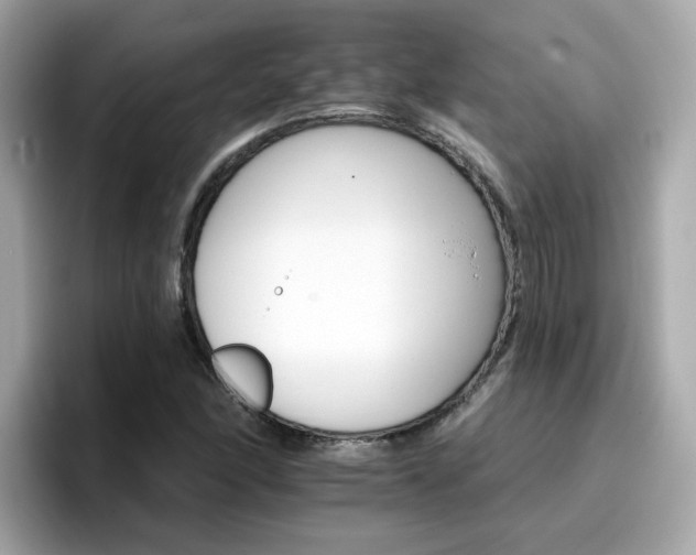 X0000096661166200802121124