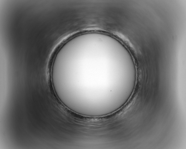 X0000096661167200802121124