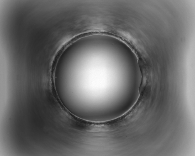 X0000096661168200802121124