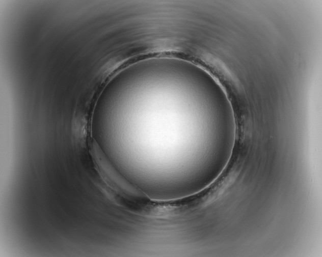 X0000096661169200802121124