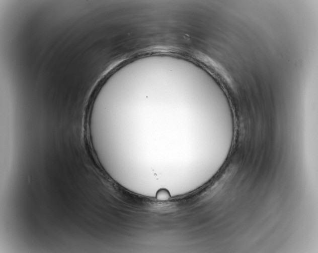 X0000096661170200802121124